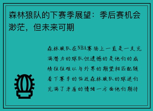 森林狼队的下赛季展望：季后赛机会渺茫，但未来可期
